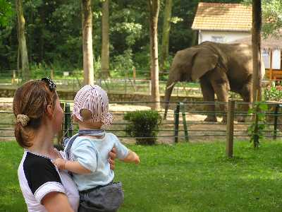 With mummy and an elephant